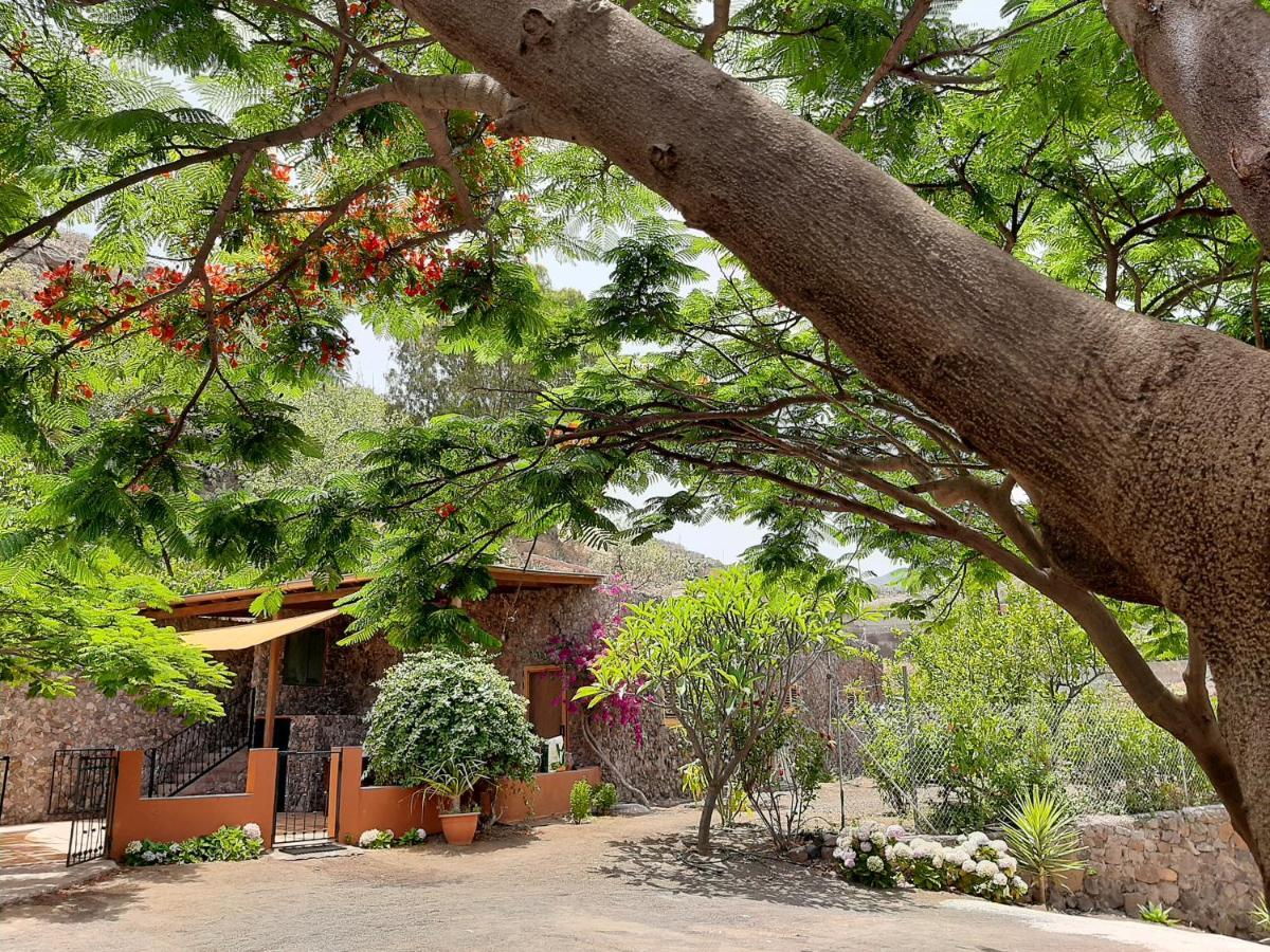 Peaceful House Set On A Vineyard & Work Friendly Villa Valsequillo de Gran Canaria Exterior photo